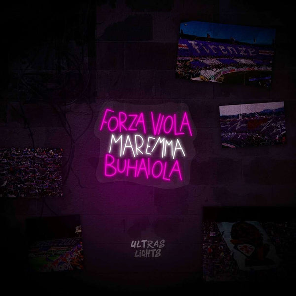 Forza viola maremma buhaiola